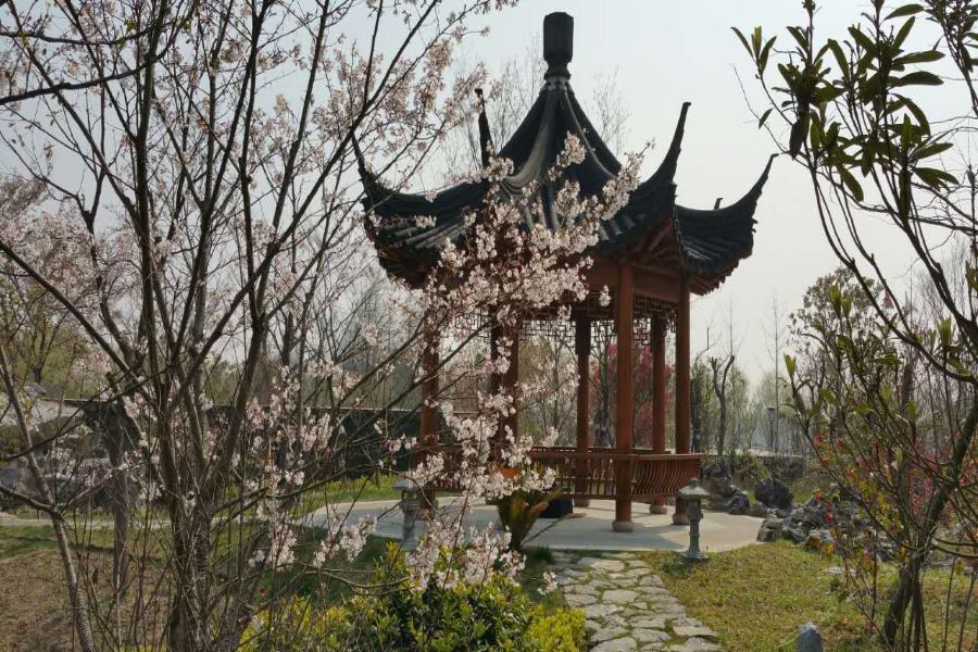 Taoyuan Shuixiang Hotel Chongming Εξωτερικό φωτογραφία